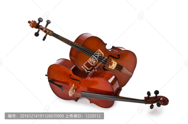 白色樂器
