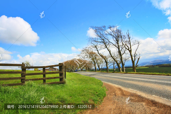 農(nóng)村公路；木柵欄與藍(lán)天