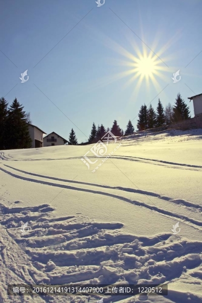 雪地里的腳印