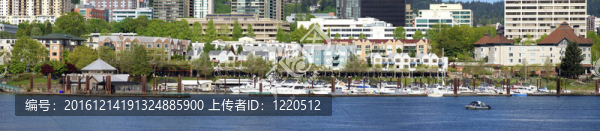 海濱公寓和碼頭；全景。