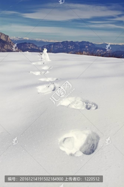雪地里的腳印