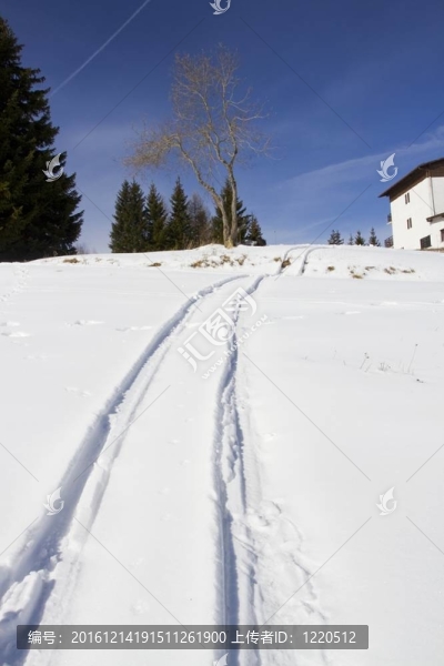 雪地里的腳印