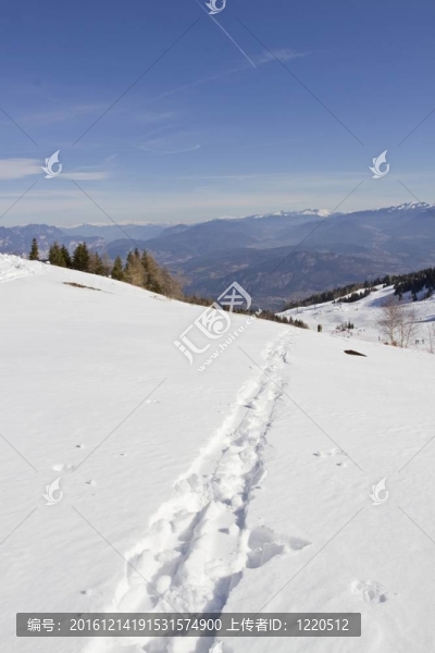 雪地里的腳印