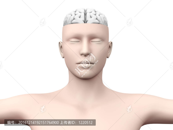 腦的人