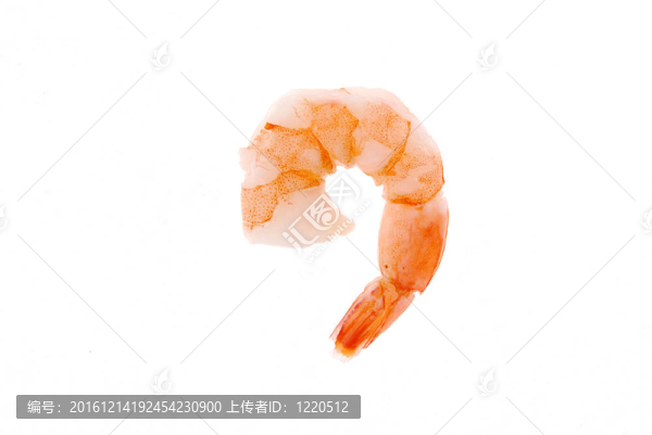 白蝦單蝦