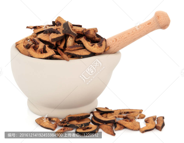 苦橙果實(shí)-匯圖網(wǎng) www.fosd68.com 苦橙果實(shí)