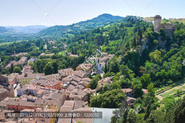 今年的全景。Emilia,Romagna。意大利.