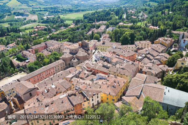 今年的全景。Emilia,Romagna。意大利.
