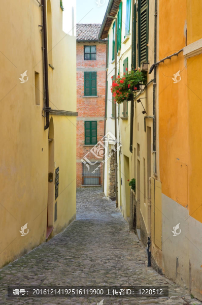 小巷。今年。Emilia,Romagna。意大利.