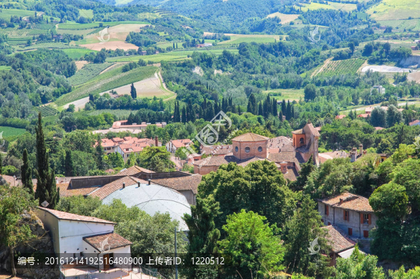 今年的全景。Emilia,Romagna。意大利.