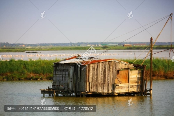 山谷科馬基奧