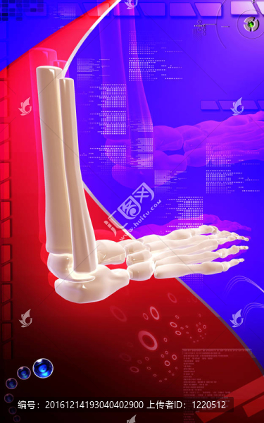 大腿骨
