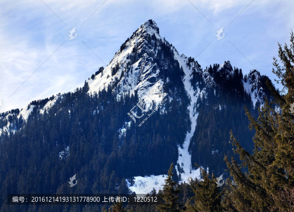 麥克萊倫巴特雪山峰霧；snoqualme通華盛頓