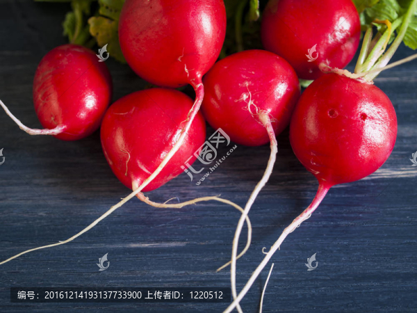 小蘿卜