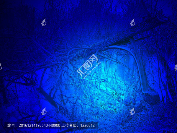 河流受損樹下的藍光；環(huán)境細節(jié)