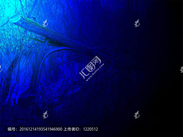 河上受損樹上的藍光；環(huán)境細節(jié)