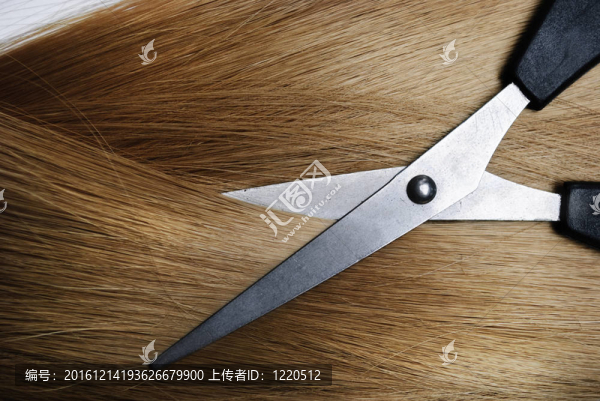 金色的頭發(fā)