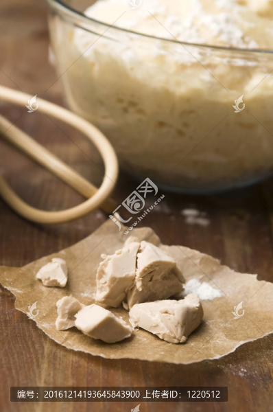 木板上的Baker酵母