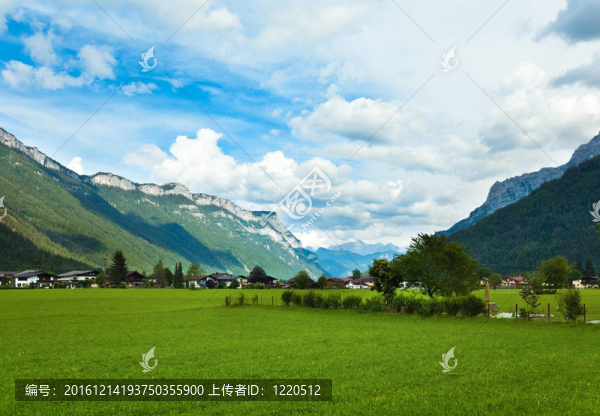 阿爾卑斯夏村