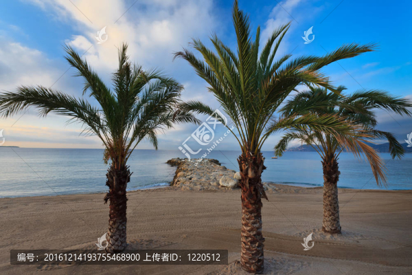 海灘日出