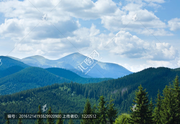 夏山景觀