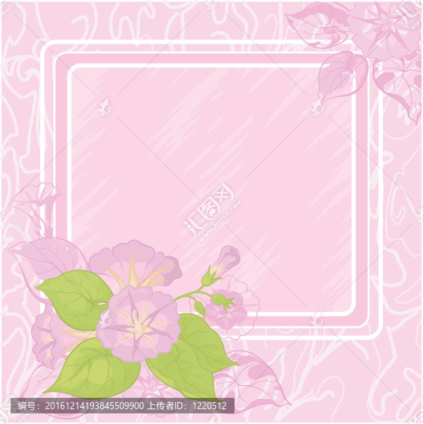 背景flowers,Ipomoea