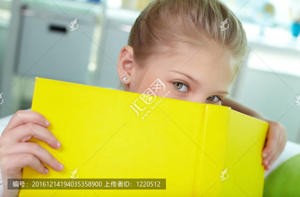 搖曳的書