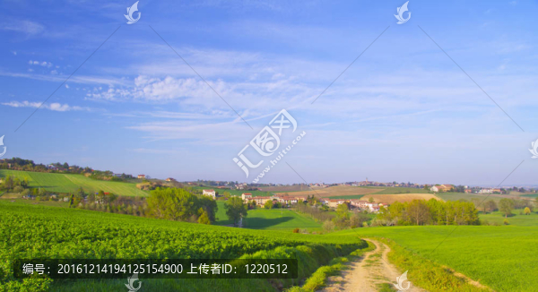 田野路