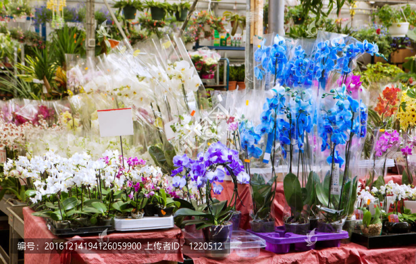 花店