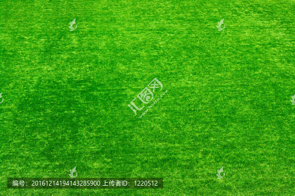 背景的綠色草坪