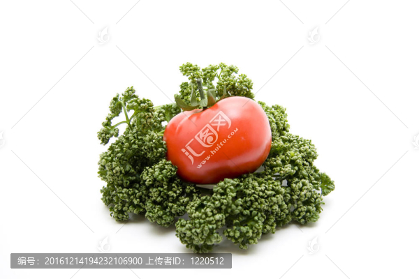 不同的蔬菜