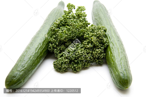 不同的蔬菜