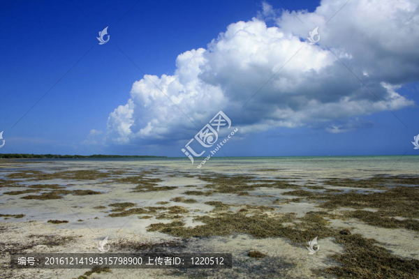 佛羅里達(dá)州的海灘