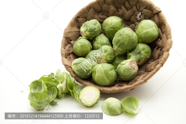 布魯塞爾芽綠片