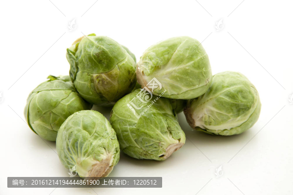 新鮮的布魯塞爾菜