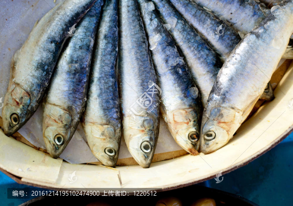 鹽水腌制的沙丁油魚在圓形木框