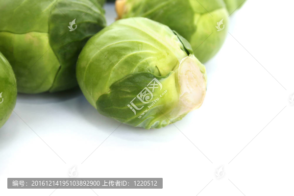 布魯塞爾豆芽