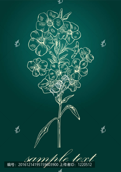 弗洛克斯。