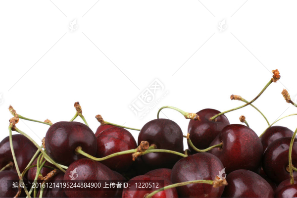 把櫻桃