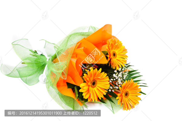 花束非洲菊