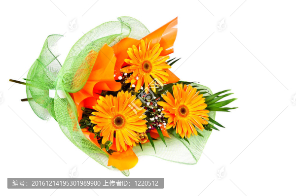 花束非洲菊
