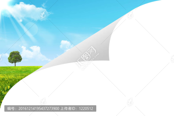 紙頁