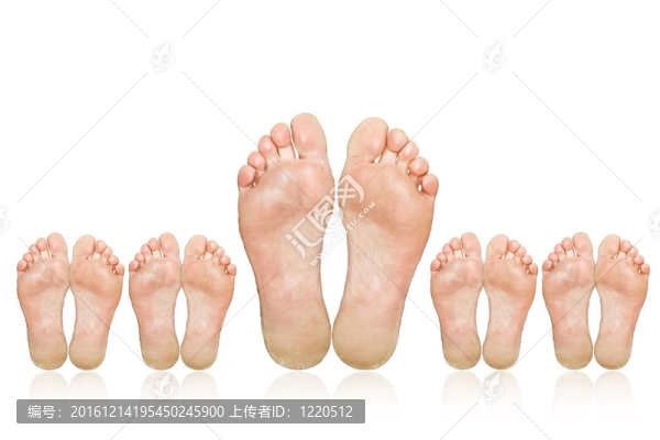 大家庭