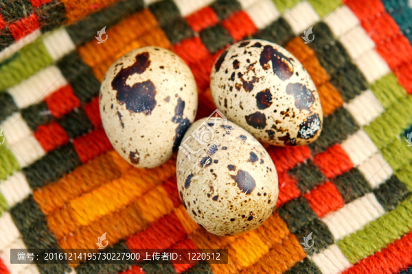 鵪鶉蛋