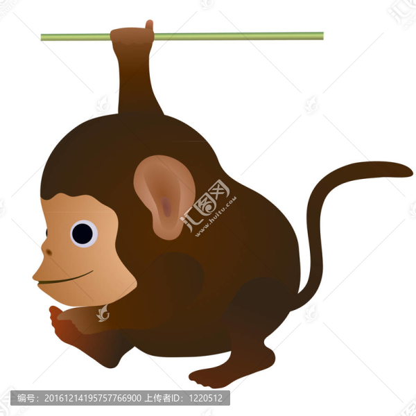 有趣的小猴子
