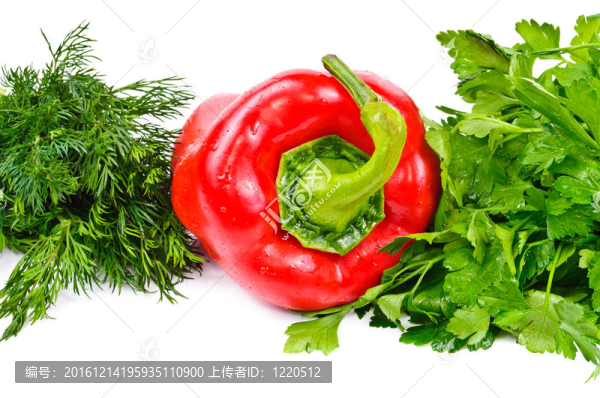 紅辣椒和歐芹