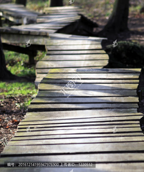 林中木棧道