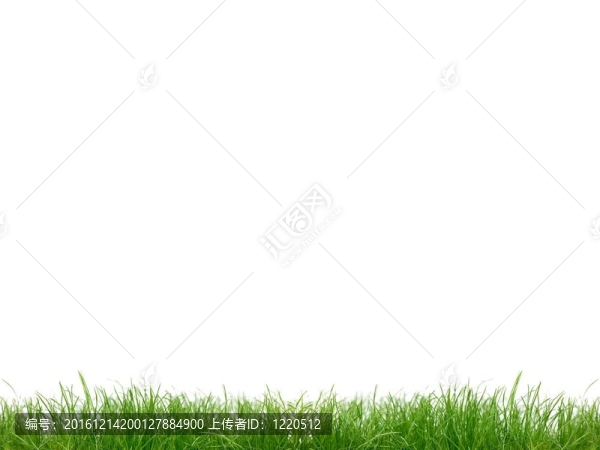 草