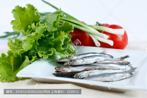 在一盤生菜鳀魚；大蔥和西紅柿