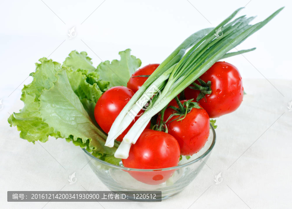 西紅柿枝；蔥；香草生菜